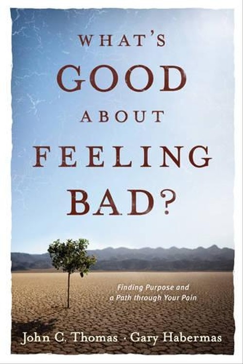 What's Good about Feeling Bad?
