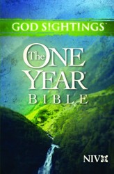 God Sightings: One Year Bible-NIV