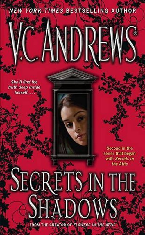 Secrets In the Shadows