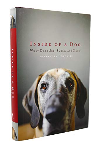 Inside of a Dog