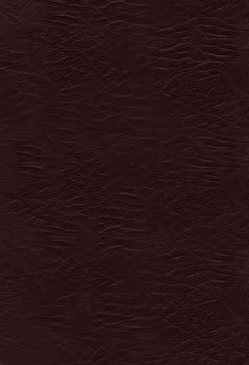 Jesus Calling Devotional Bible-NKJV