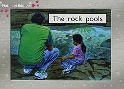 The Rock Pools