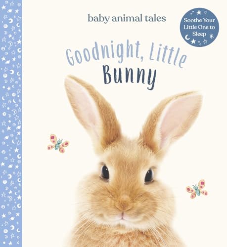 Goodnight, Little Bunny