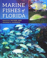Marine Fishes of Florida