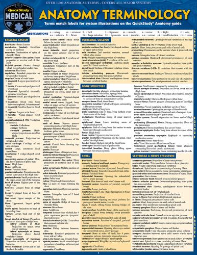 Anatomy Terminology Reference