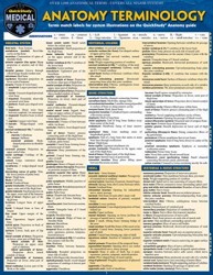 Anatomy Terminology Reference