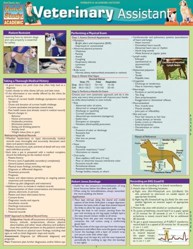 Veterinary Assistant