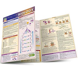 Molecular Biology