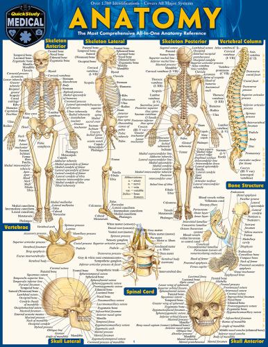 Anatomy - Reference Guide