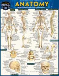 Anatomy - Reference Guide