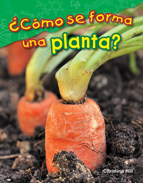 C mo se forma una planta? (What Makes a Plant?)