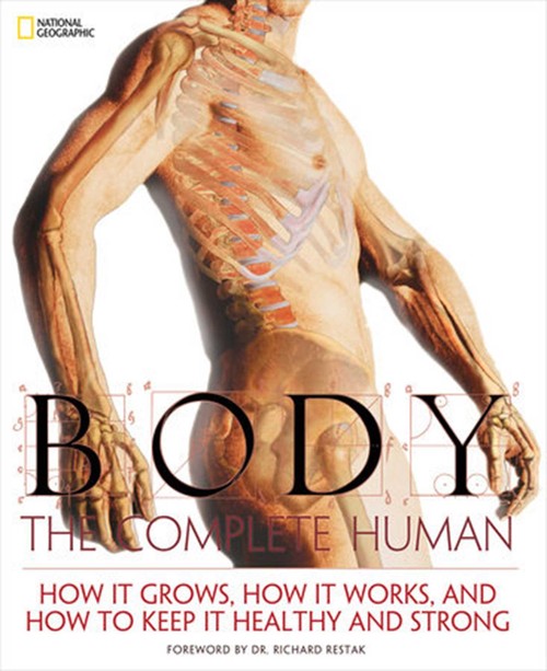Body