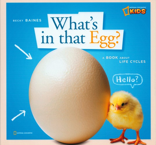 ZigZag: What's in That Egg?