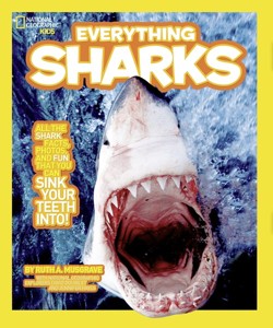 Everything Sharks
