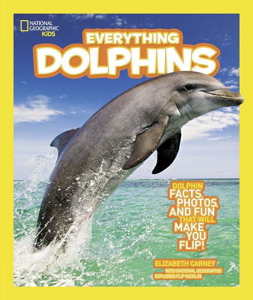 Everything Dolphins