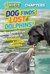 Dog Finds Lost Dolphins!