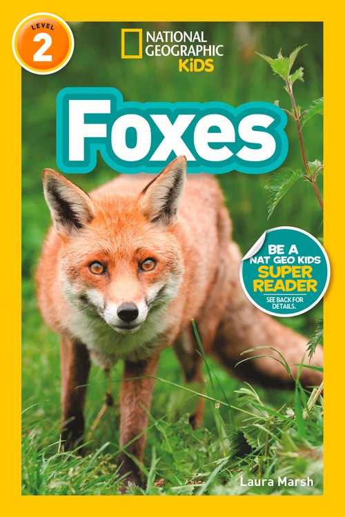 Foxes (L2)