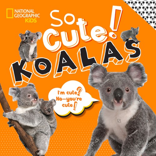 So Cute! Koalas