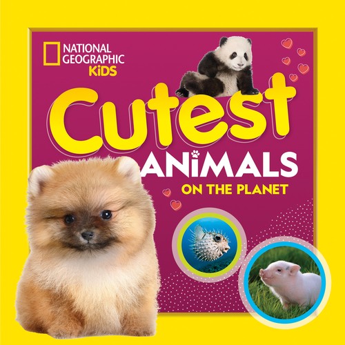 Cutest Animals on the Planet