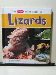 The Pebble First Guide to Lizards