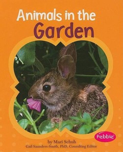 Animals in the Garden