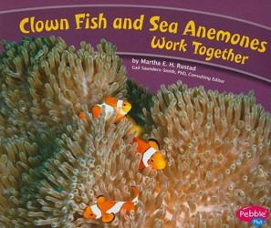 Animals Working Together Clown Fish and Sea Anemones Work Together