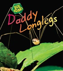 Daddy Longlegs