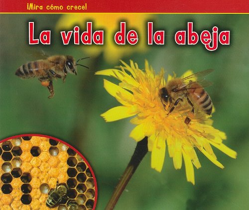 La Vida de la Abeja