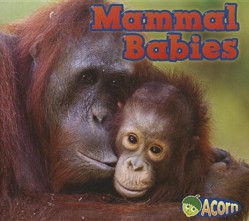 Mammal Babies