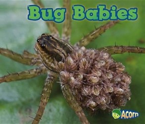 Animal Babies Bug Babies