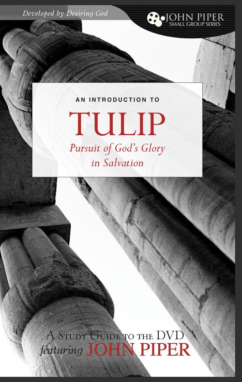 Tulip