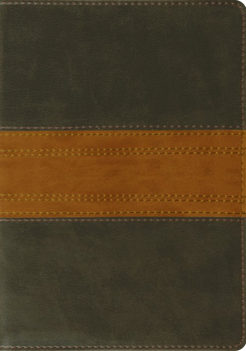 ESV Large Print Bible