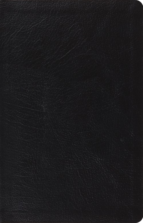 ESV Large Print Thinline Reference Bible