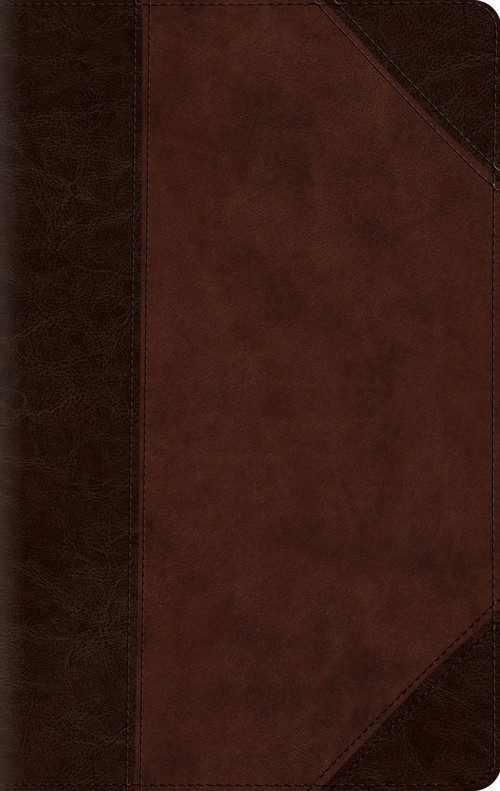 ESV Large Print Compact Bible, Red Letter