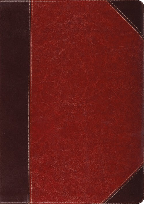 ESV Study Bible, Thumb Indexed