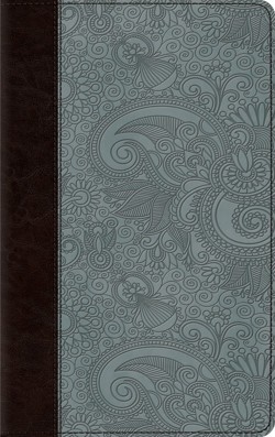 ESV Thinline Bible