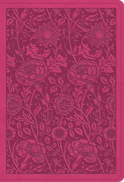 ESV Large Print Compact Bible, Red Letter