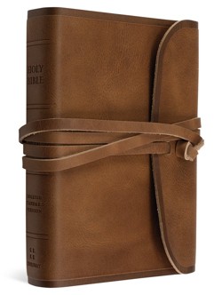ESV Large Print Compact Bible, Red Letter