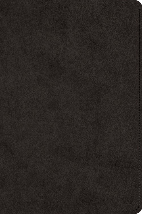ESV Large Print Bible