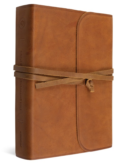 ESV Single Column Journaling Bible, Large Print