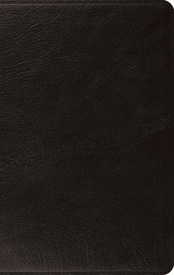 ESV Large Print Thinline Bible