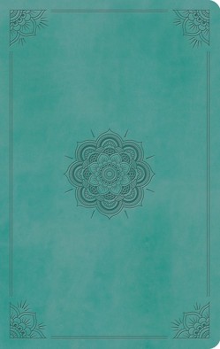 ESV Large Print Value Thinline Bible