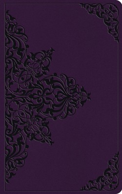 ESV Large Print Value Thinline Bible