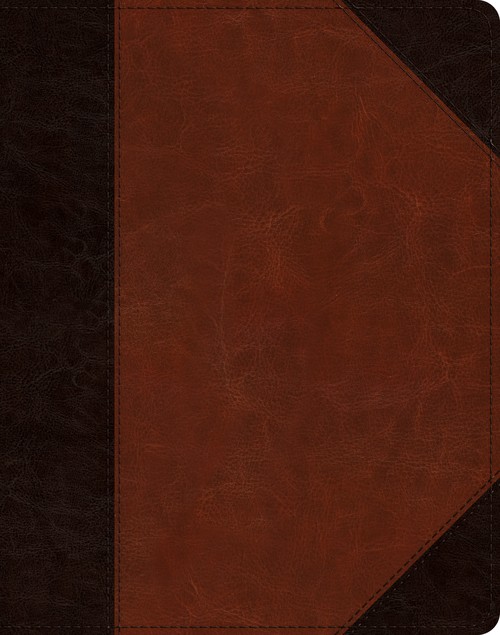 ESV Single Column Journaling Bible