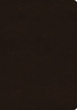 ESV Single Column Journaling Bible, Large Print