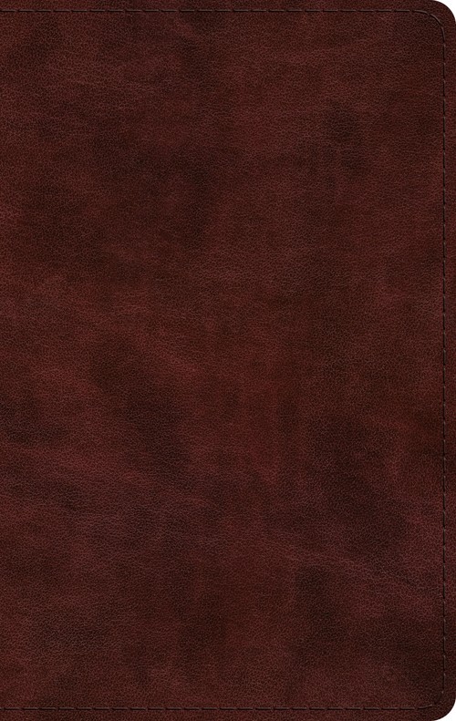 ESV Large Print Thinline Bible