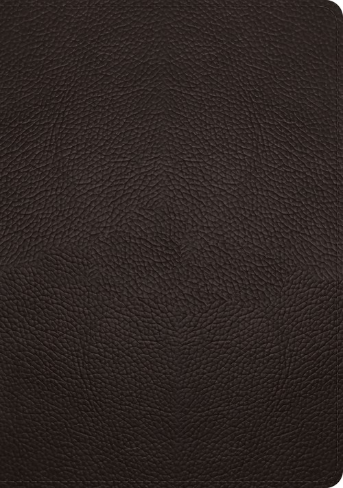 Esv Bibles - ESV Study Bible