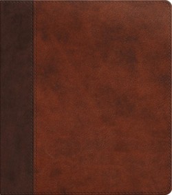 ESV Journaling Study Bible