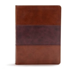 CSB Apologetics Study Bible, Mahogany LeatherTouch