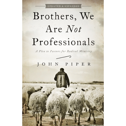 Brothers, We Are Not Professionals